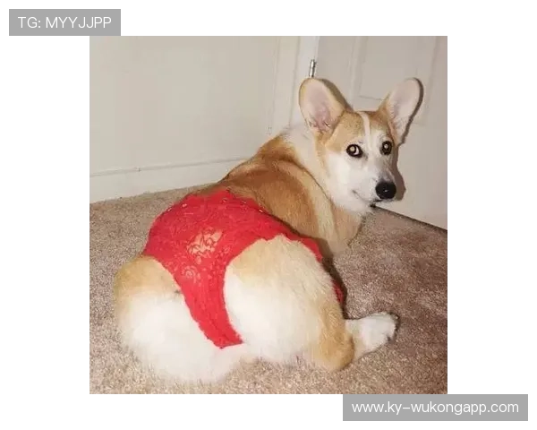 费钰婷比赛时候像个冰山，私下居然穿得这么辣眼睛？